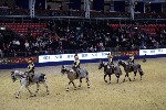 Quadrille - 00770